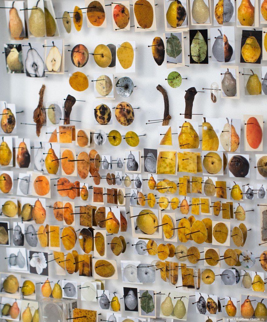 Незабываемые объемные портреты художника Майкла Мэйпса (Michael Mapes) (фото 8)