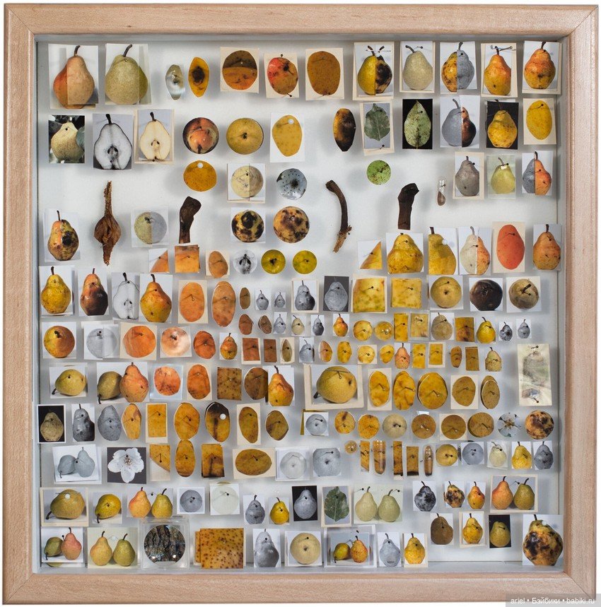 Незабываемые объемные портреты художника Майкла Мэйпса (Michael Mapes) (фото 6)