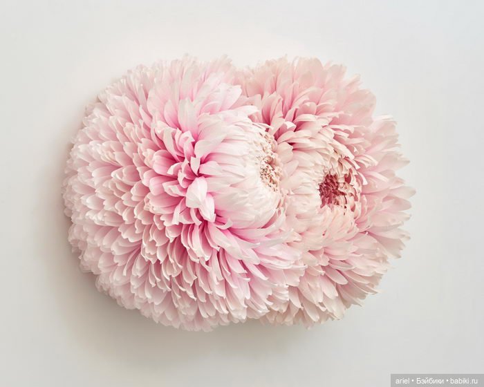 Очень красивые работы из бумаги и легких тканей от Тиффани Тернер (Tiffanie Turner) (фото 7)