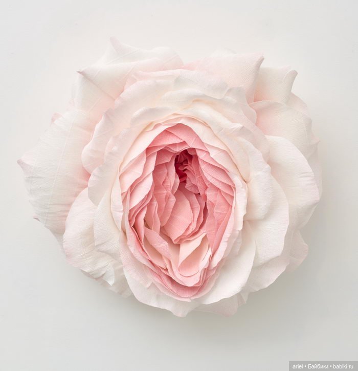 Очень красивые работы из бумаги и легких тканей от Тиффани Тернер (Tiffanie Turner)