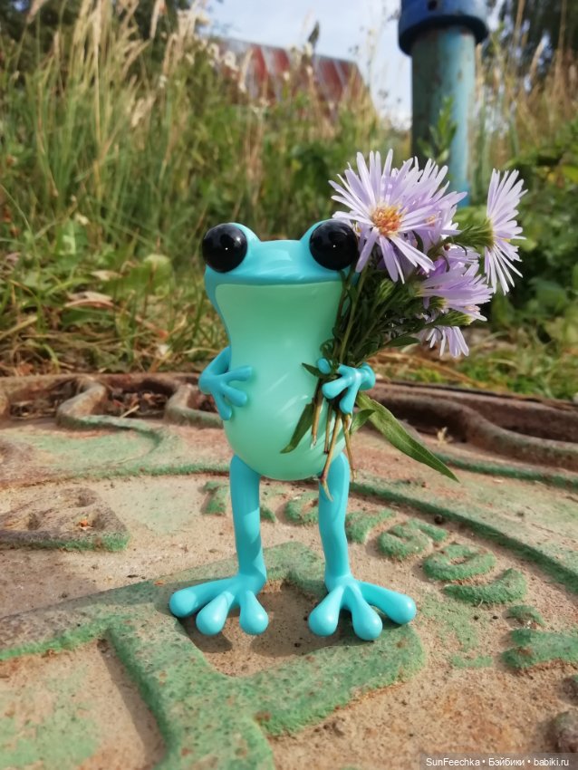 Apo frogs Маркус. Фотомикс (фото 7)