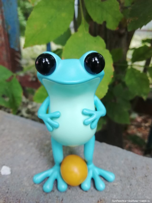 Apo frogs Маркус. Фотомикс