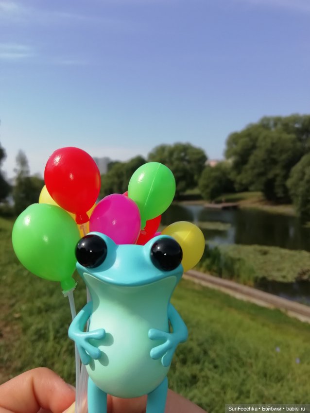 Apo frogs Маркус. Фотомикс