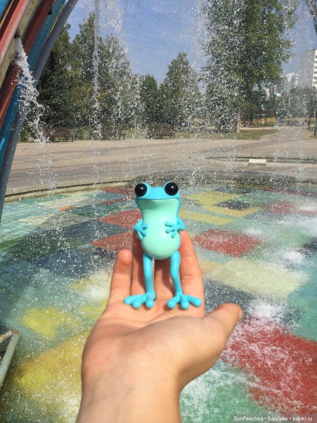 Apo frogs Маркус. Фотомикс