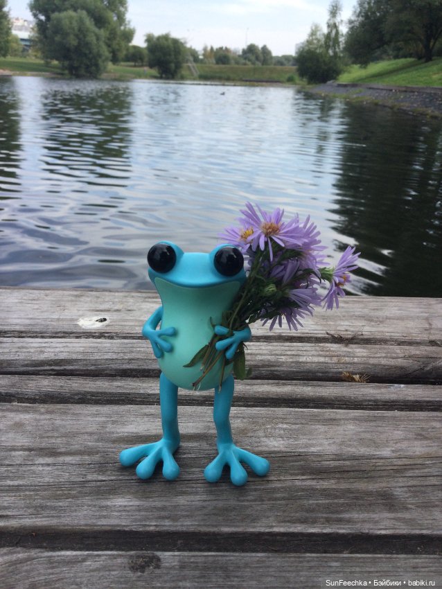 Apo frogs Маркус. Фотомикс