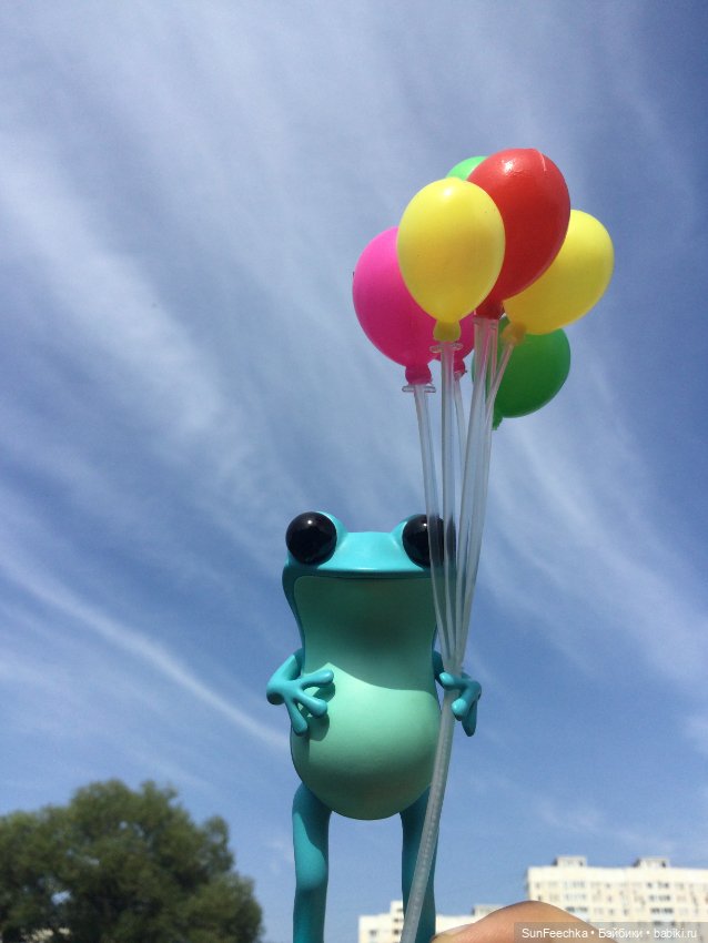 Apo frogs Маркус. Фотомикс