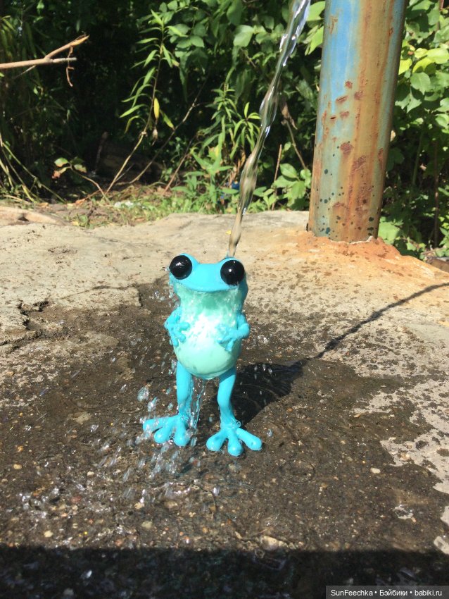 Apo frogs Маркус. Фотомикс