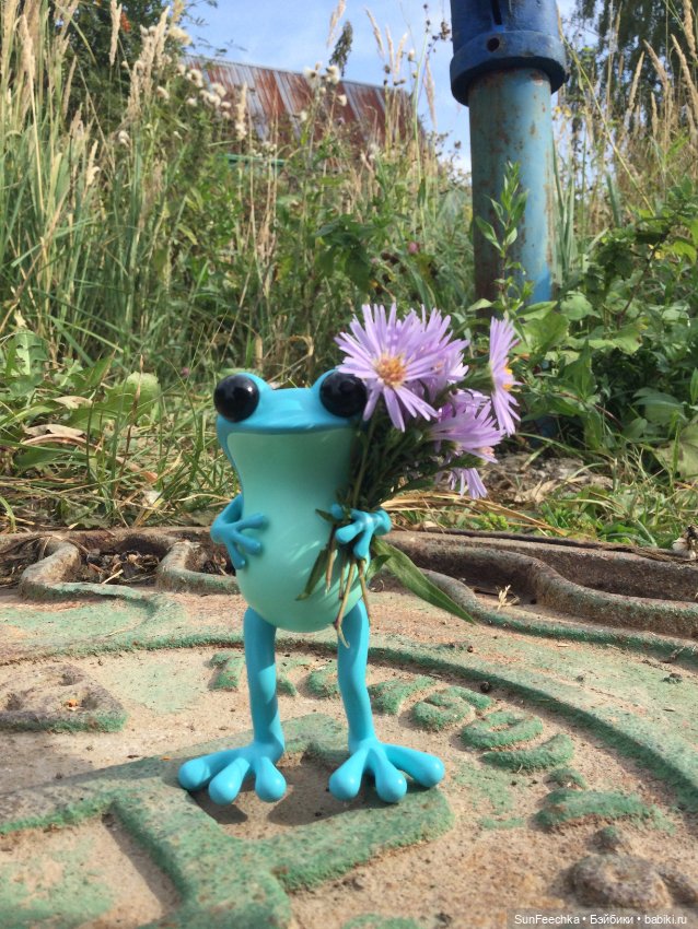 Apo frogs Маркус. Фотомикс