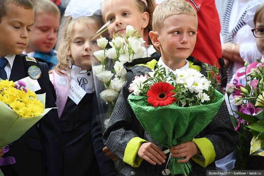 Сочувствую — Болталка и разговоры обо всем: жизнь (фото 2)