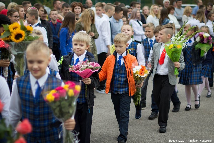 Сочувствую — Болталка и разговоры обо всем: жизнь (фото 4)