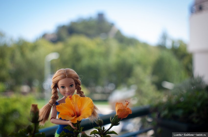 В стране дремучих трав — Красивая природа и цветы: фото пейзажей