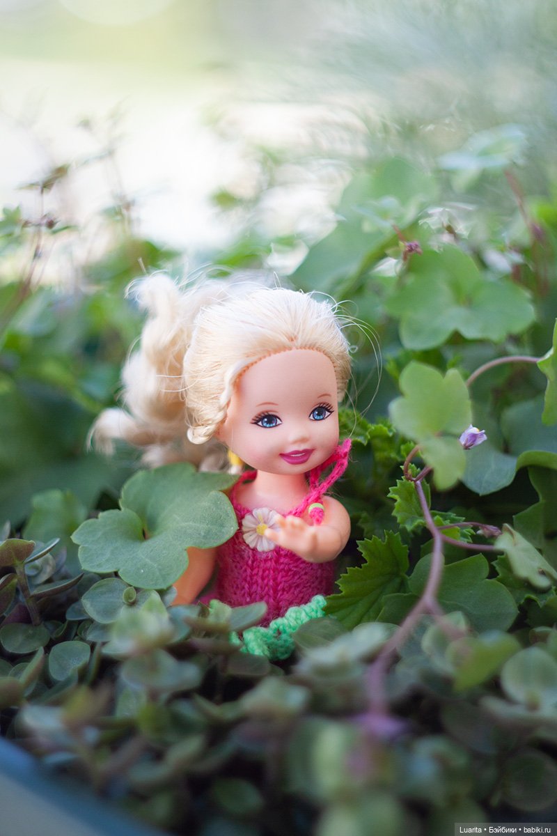 В стране дремучих трав — Красивая природа и цветы: фото пейзажей (фото 2)