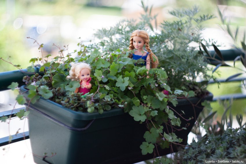 В стране дремучих трав — Красивая природа и цветы: фото пейзажей