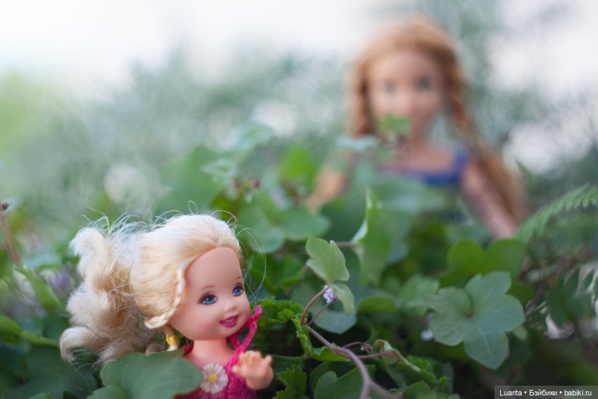 В стране дремучих трав — Красивая природа и цветы: фото пейзажей (фото 6)