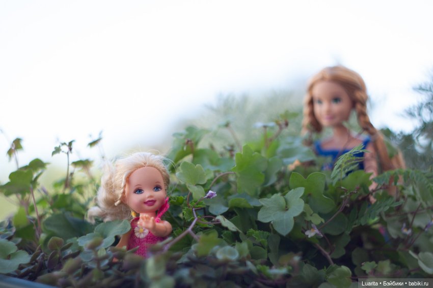 В стране дремучих трав — Красивая природа и цветы: фото пейзажей (фото 5)