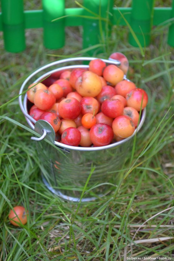 Яблочный урожай🍎 — Куклы Barbie (Барби): Looks