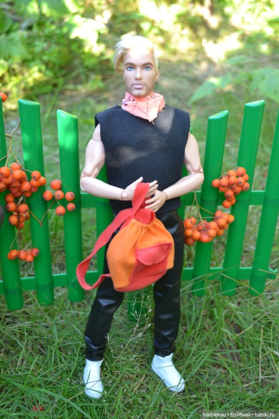 Яблочный урожай🍎 — Куклы Barbie (Барби): Looks (фото 8)