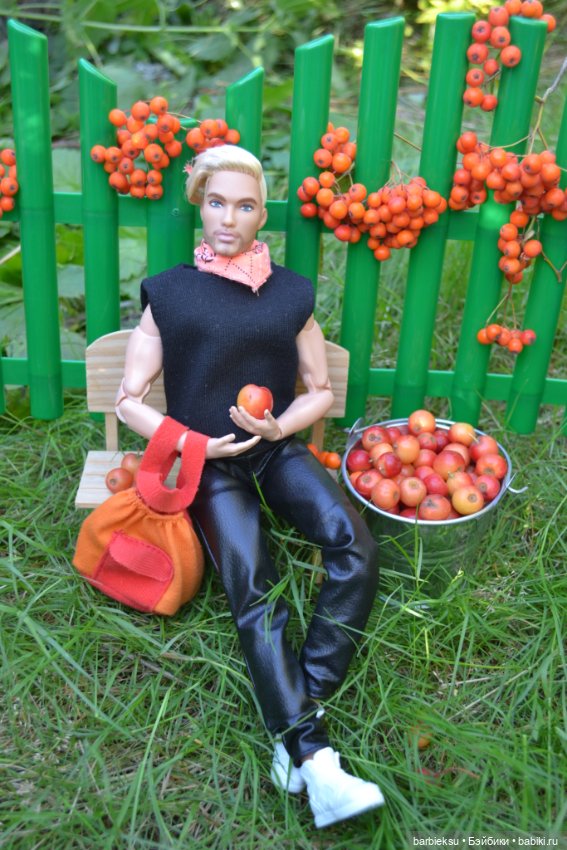 Яблочный урожай🍎 — Куклы Barbie (Барби): Looks (фото 9)