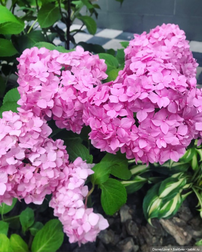 Немного сказки, яркости и ностальгии… (фото 7)