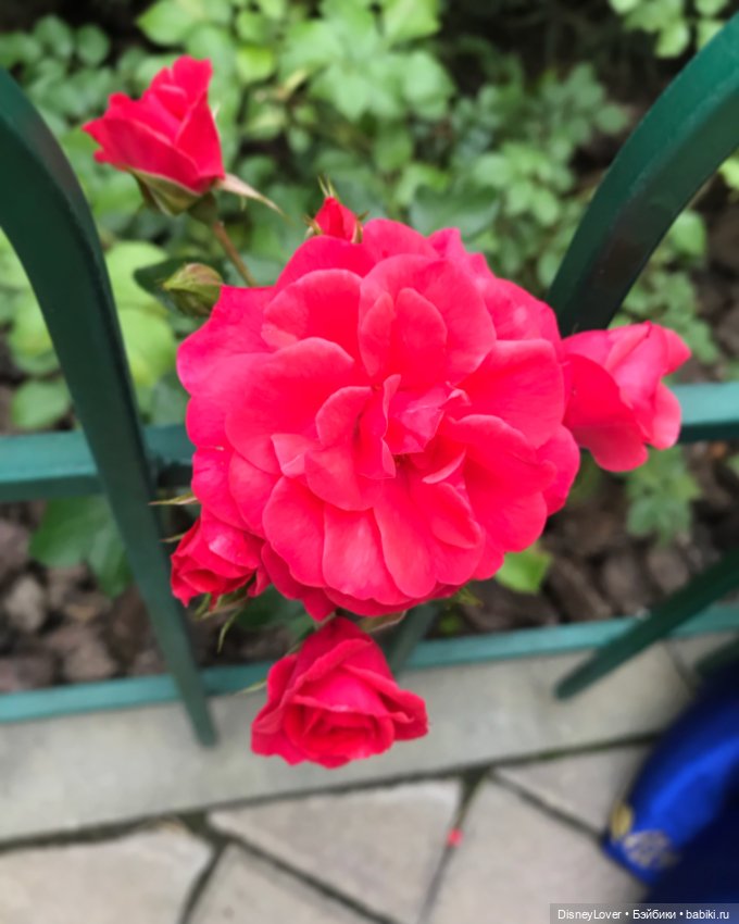 Немного сказки, яркости и ностальгии…