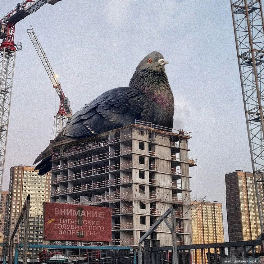 Работы ксеноурбаниста Вадима Соловьёва (фото 2)