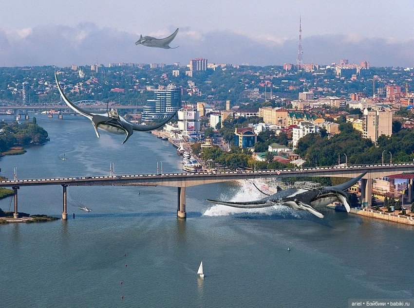 Работы ксеноурбаниста Вадима Соловьёва