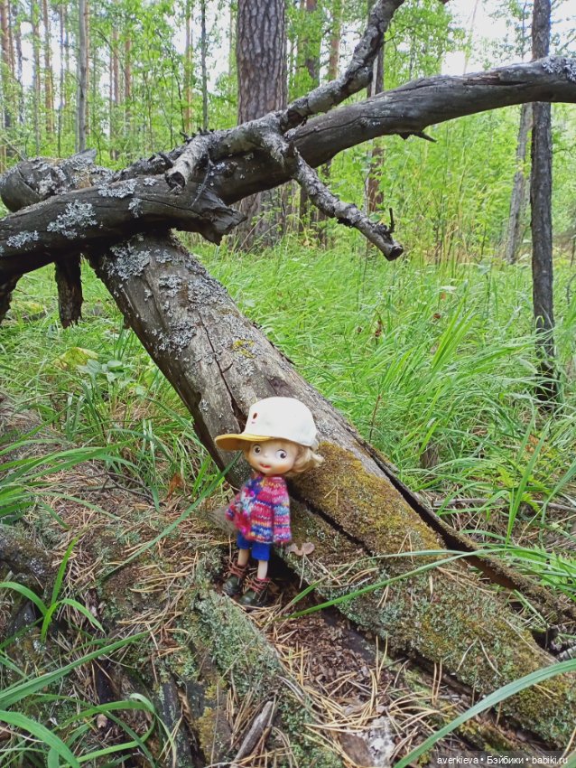 Pututu. Меня не " отпускает"... Леон путешествует (фото 6)