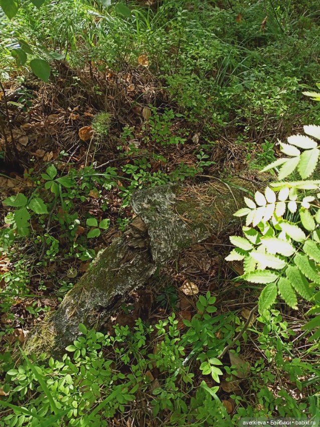 Pututu. Меня не " отпускает"... Леон путешествует (фото 8)