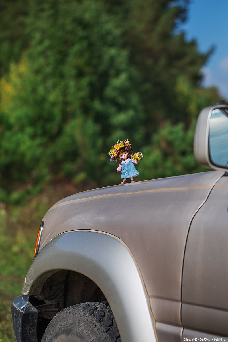 Маленькая путешественница