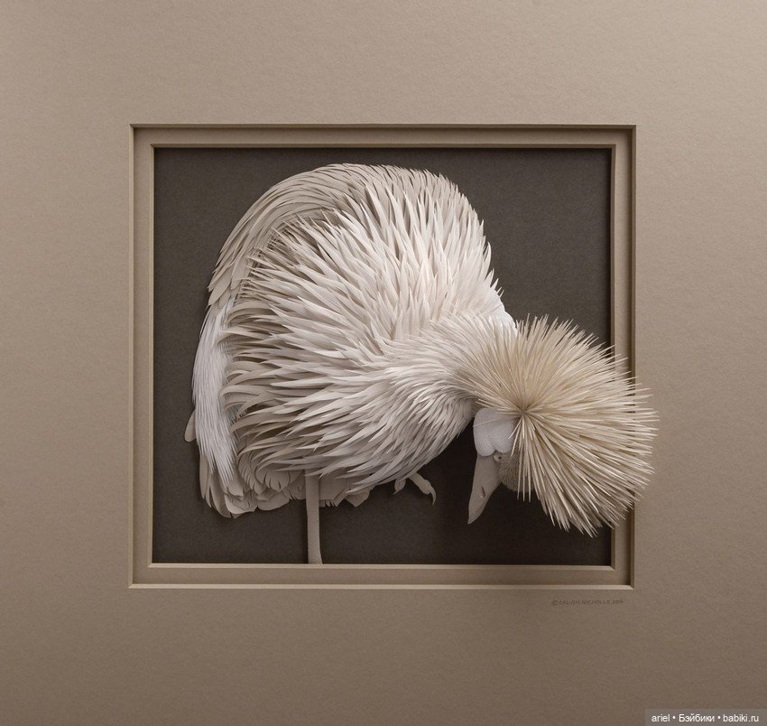 Бумажные скульптуры от Кэльвина Николлса (Calvin Nicholls)