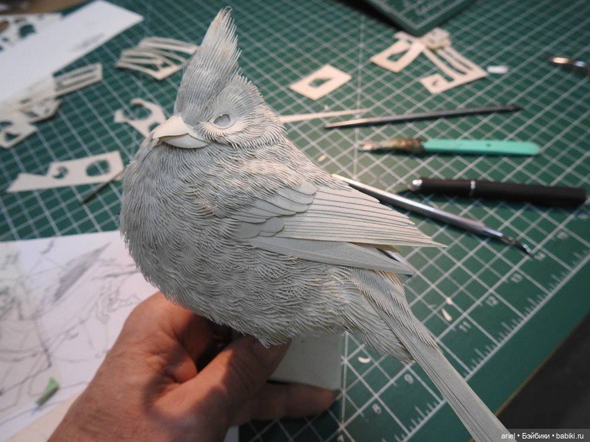 Бумажные скульптуры от Кэльвина Николлса (Calvin Nicholls) (фото 2)