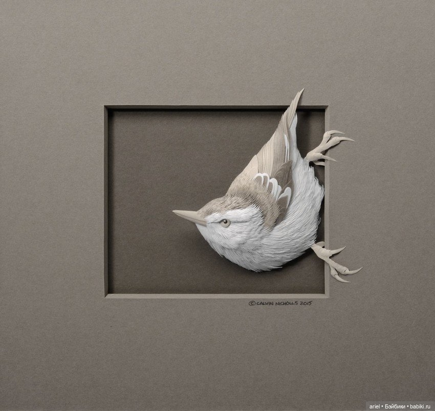 Бумажные скульптуры от Кэльвина Николлса (Calvin Nicholls) (фото 10)