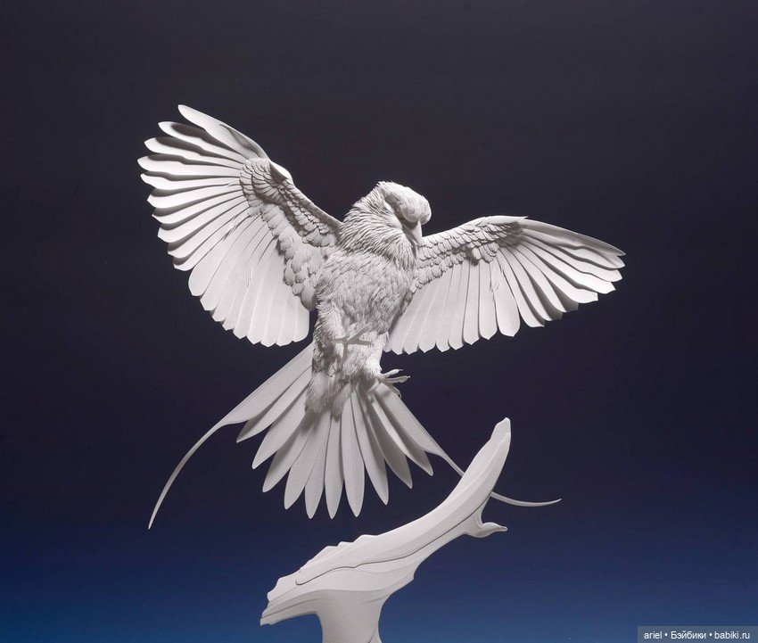 Бумажные скульптуры от Кэльвина Николлса (Calvin Nicholls) (фото 8)