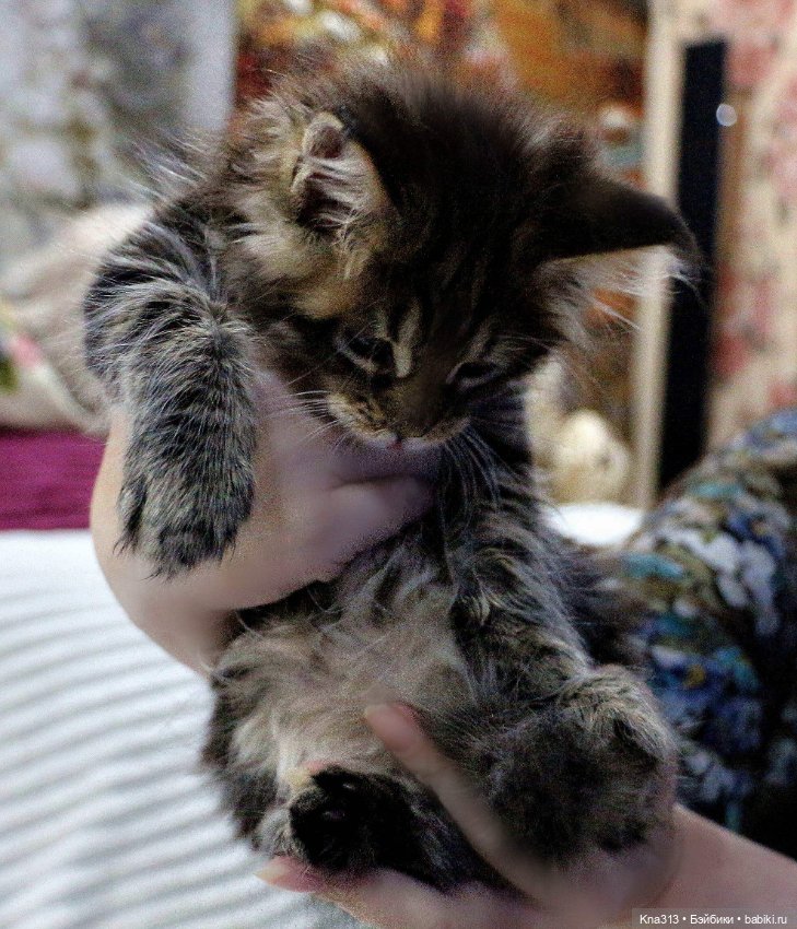 Осенние тыковки — Кукольная миниатюра своими руками: еда