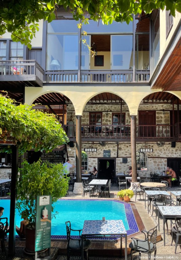 Давно я Птичек не показывала