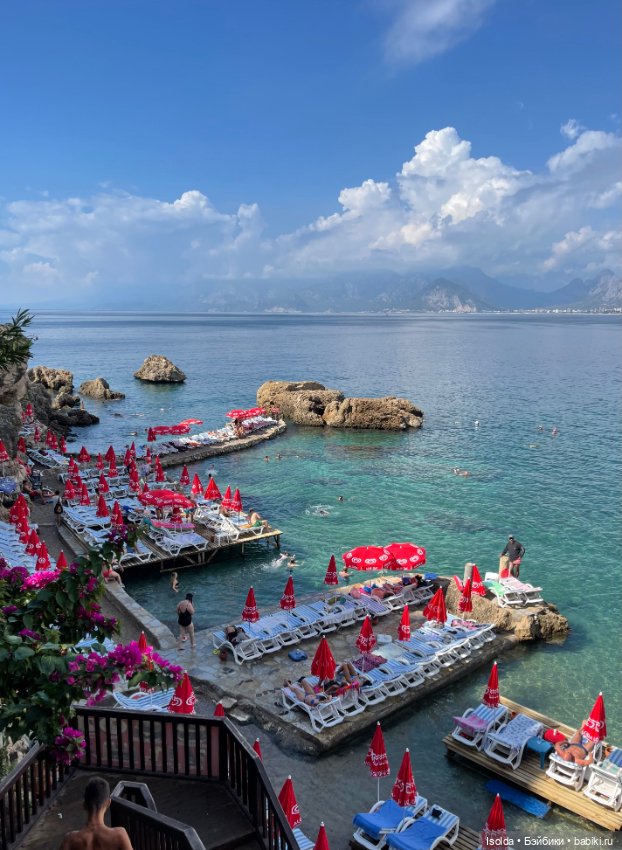 Давно я Птичек не показывала