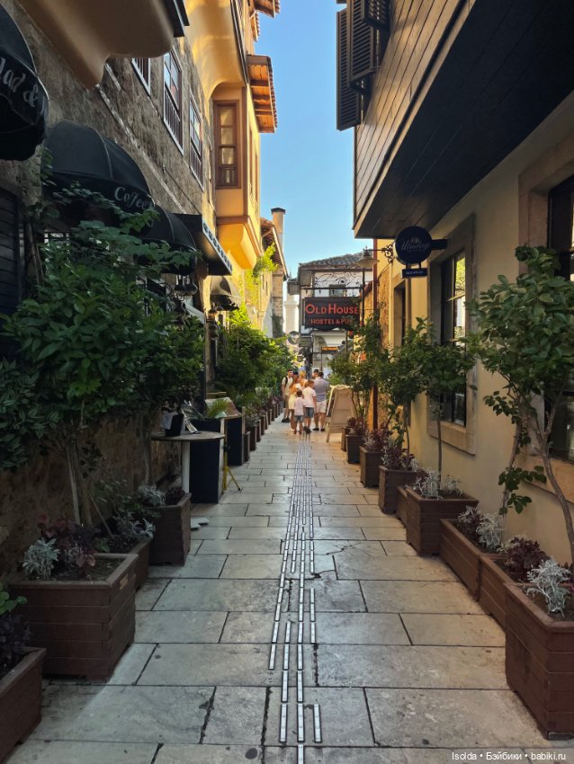 Давно я Птичек не показывала