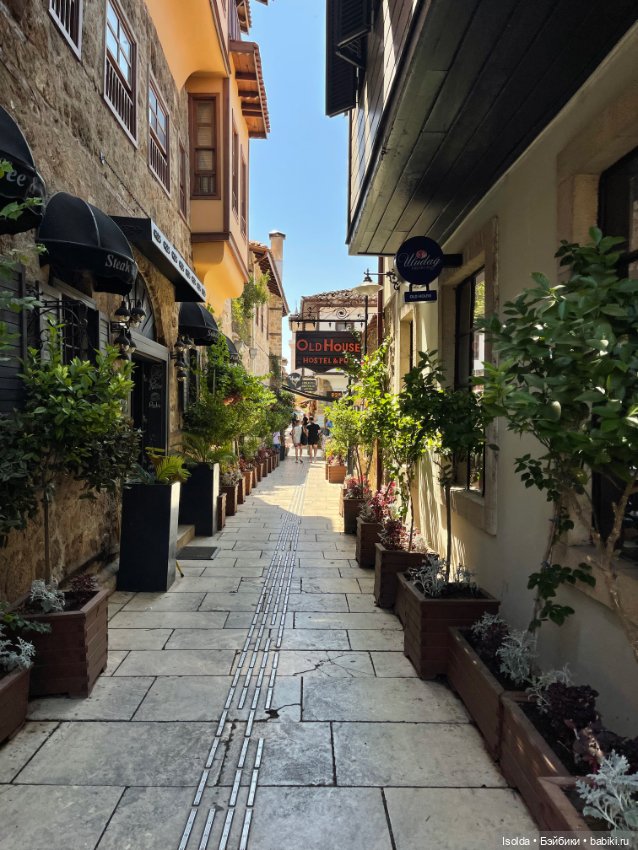 Давно я Птичек не показывала