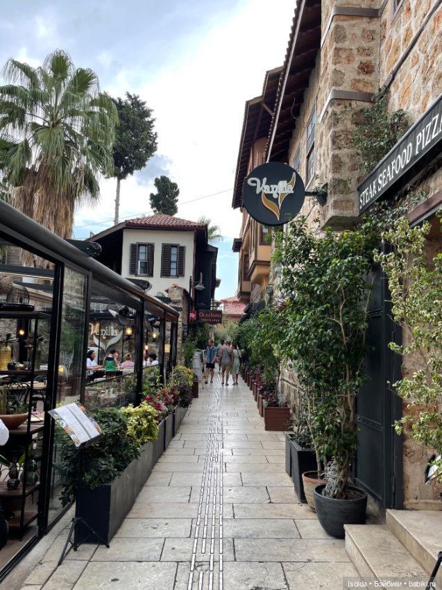 Давно я Птичек не показывала