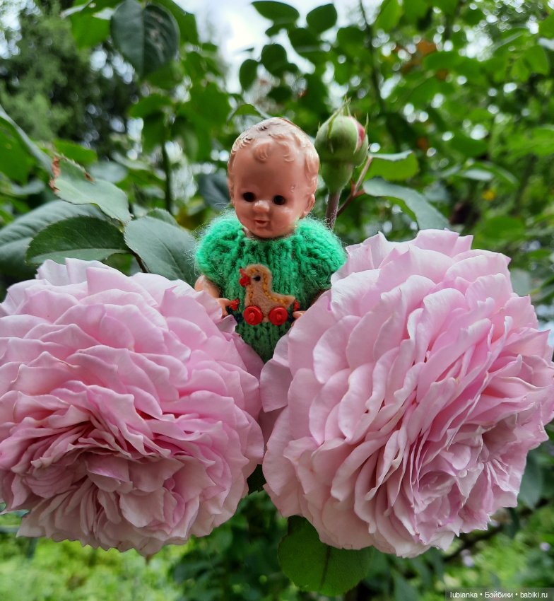 Клеверочек на прогулке — Винтажные куклы ГДР (Немки): Бигги