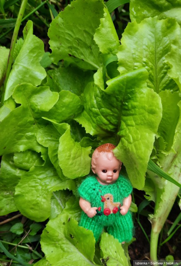 Клеверочек на прогулке — Винтажные куклы ГДР (Немки): Бигги