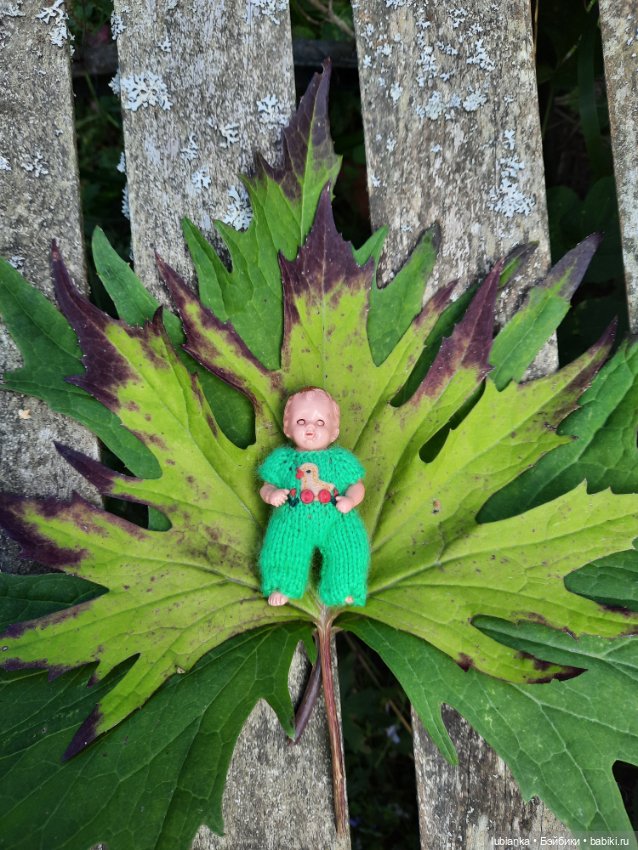 Клеверочек на прогулке — Винтажные куклы ГДР (Немки): Бигги