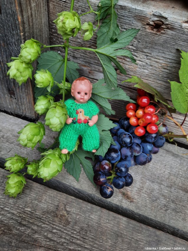 Клеверочек на прогулке — Винтажные куклы ГДР (Немки): Бигги (фото 5)