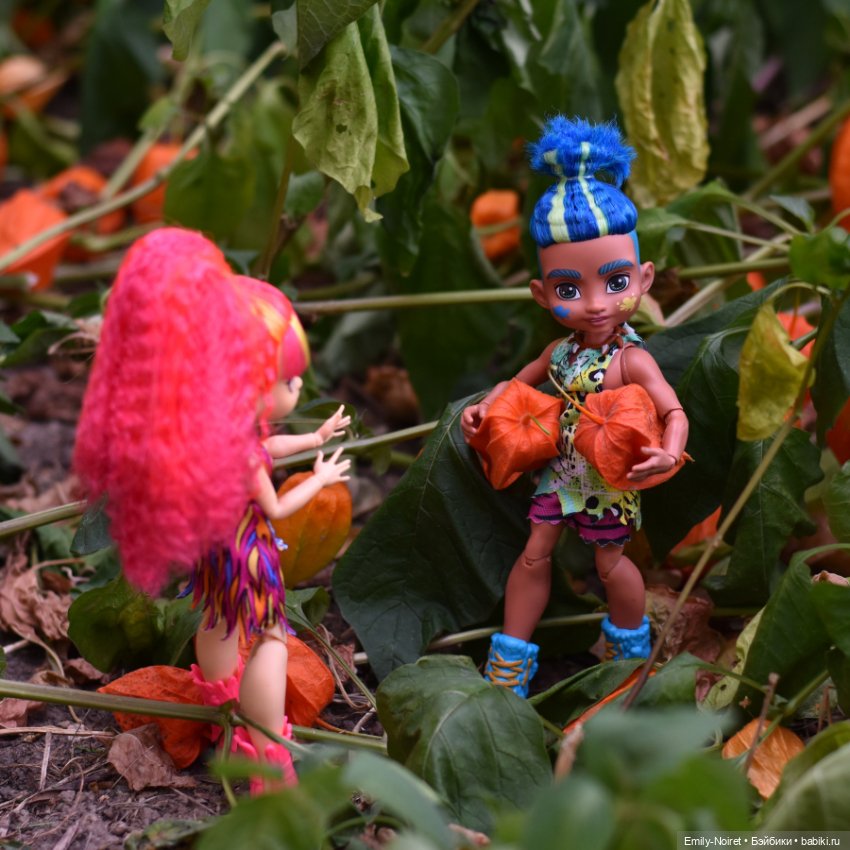 Сбор урожая — Игровые куклы разных производителей (Разное): редкие бренды (фото 5)
