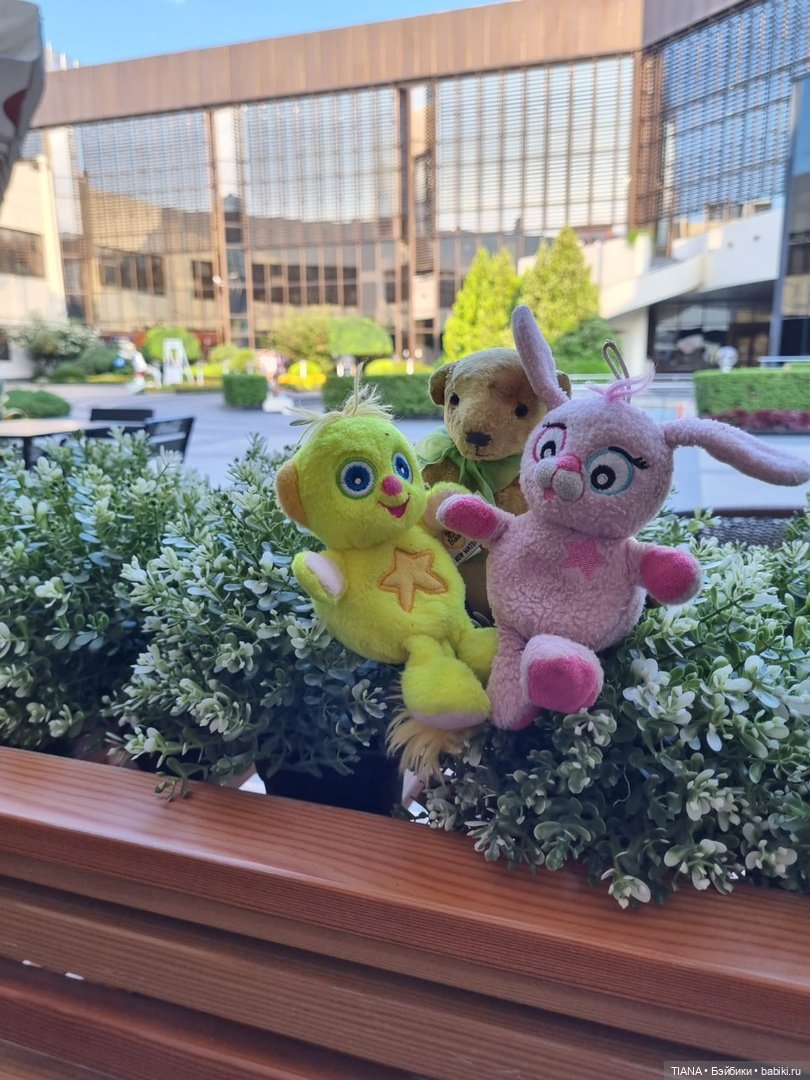 Медведь для дальних поездок (фото 3)