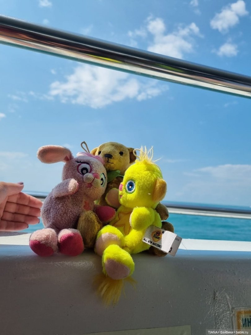 Медведь для дальних поездок