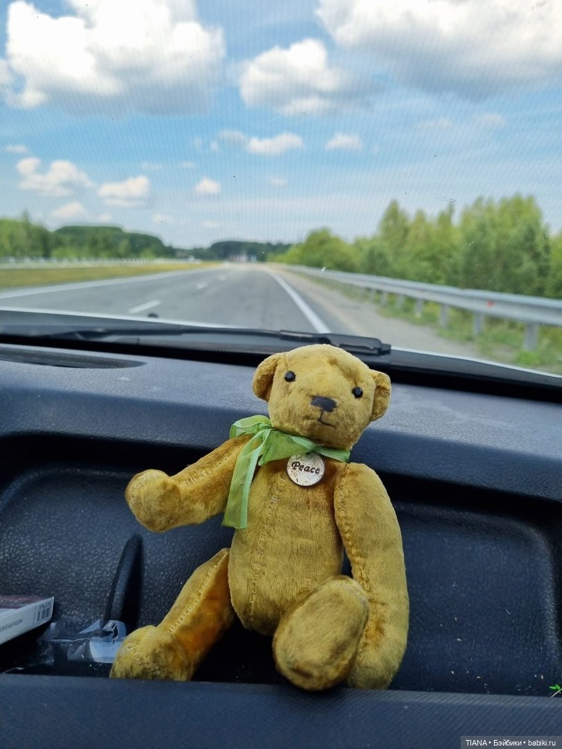 Медведь для дальних поездок