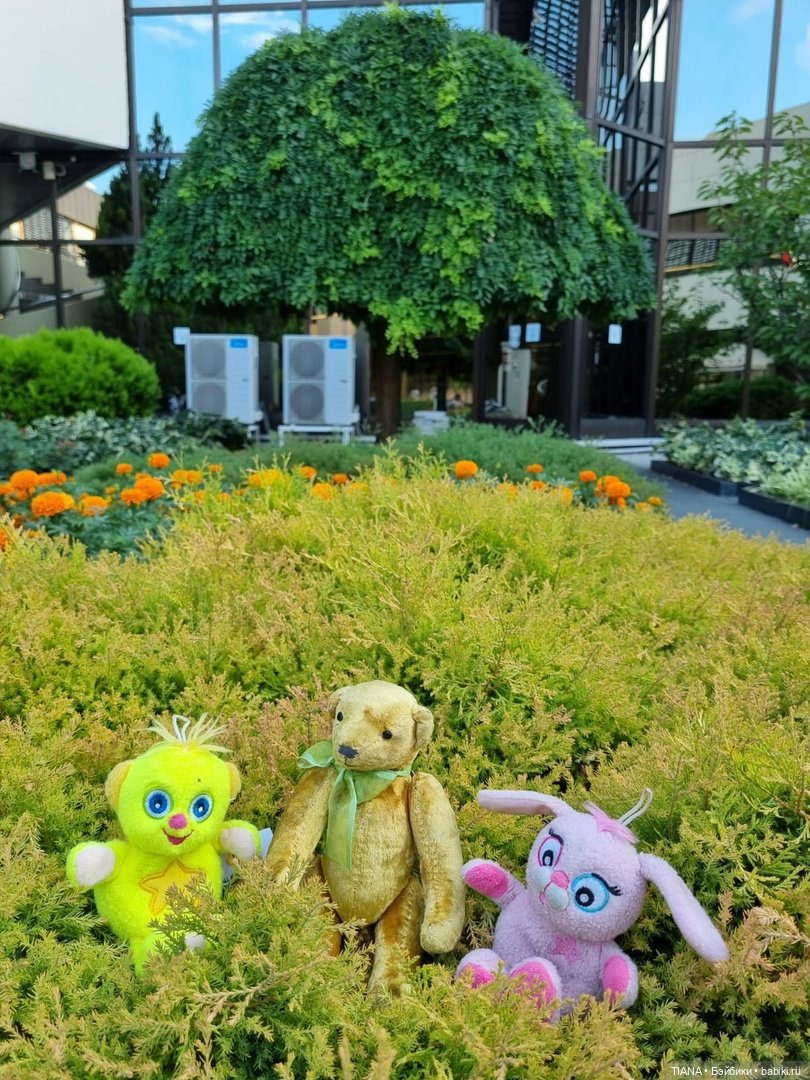 Медведь для дальних поездок