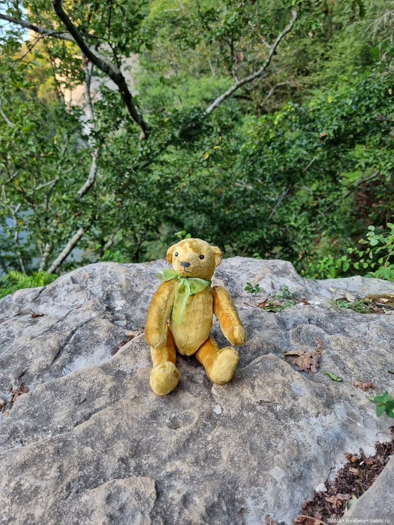 Медведь для дальних поездок