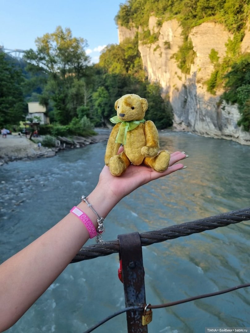 Медведь для дальних поездок